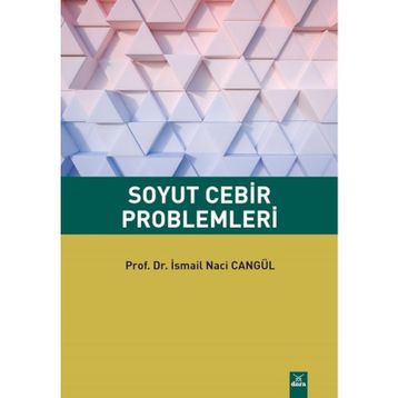 SOYUT CEBIR PROBLEMLERI - NEŞET AYDIN