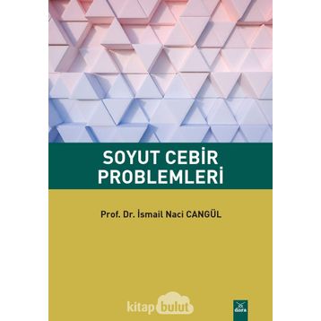 SOYUT CEBIR PROBLEMLERI - NEŞET AYDIN
