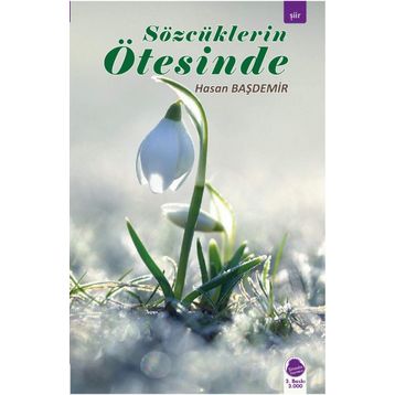 SÖZCÜKLERIN ÖTESINDE - HASAN BAŞDEMIR