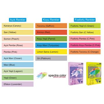 Spectra Color Somon 500lü A4 Fotokopi Kağıdı