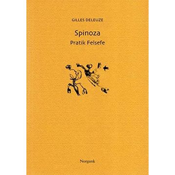 SPINOZA PRATIK FELSEFE - GENEL