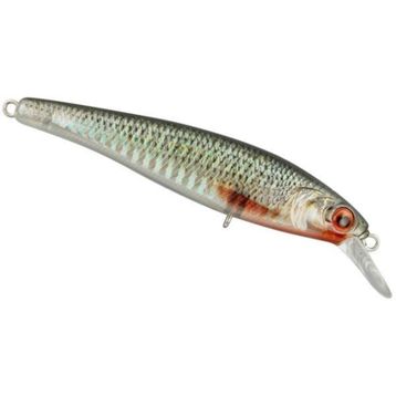Spro Ikiru Jerk 65 Sp Roach Maket Yem