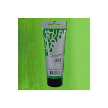 St.Petersburg 120 ml Green Light 717 Sonnet Akrilik Boya