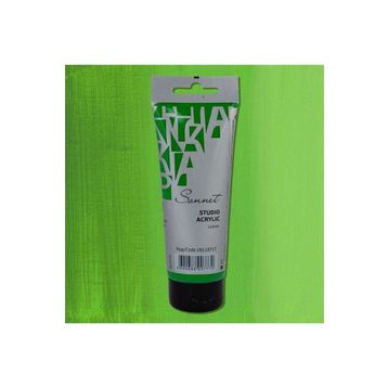 St.Petersburg 120 ml Green Light 717 Sonnet Akrilik Boya