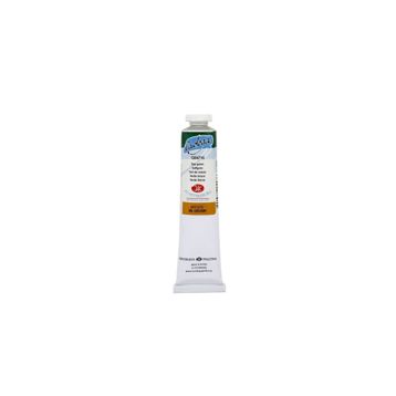 St.Petersburg 5798738 Sonnet 46 ml Sap Green N:2604731 Yağlı Boya