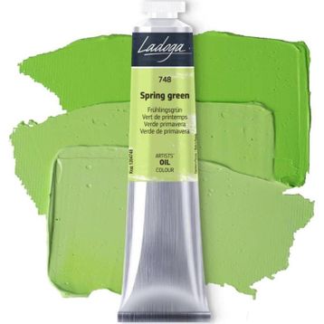 St.Petersburg 5798788 Ladoga 46 ml Spring Green 748 Yağlı Boya