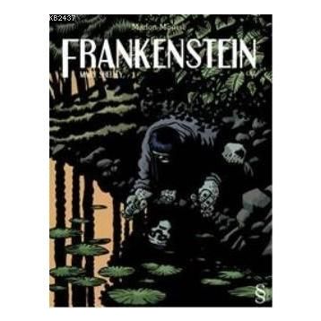 Stage 2 Frankenstein - Mary Shelley