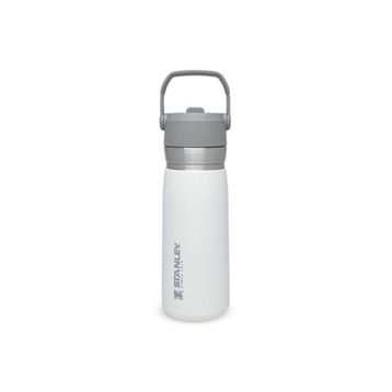 Stanley 0.65 Lt The Iceflow Pipetli Paslanmaz Çelik Soğuk Su Termosu