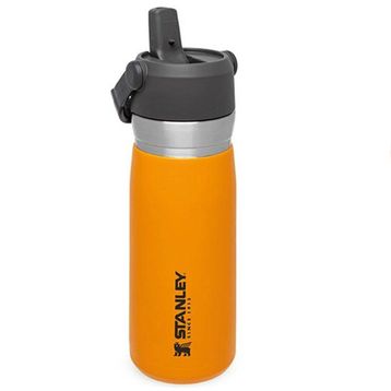 Stanley 650 ml Turuncu Go Iceflow Flip Straw Su Termosu