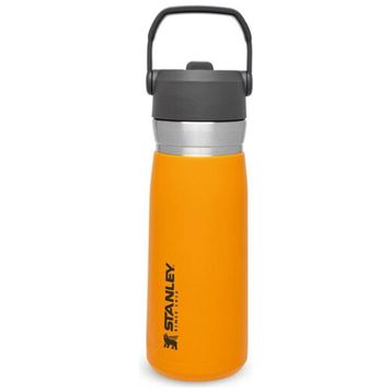 Stanley 650 ml Turuncu Go Iceflow Flip Straw Su Termosu