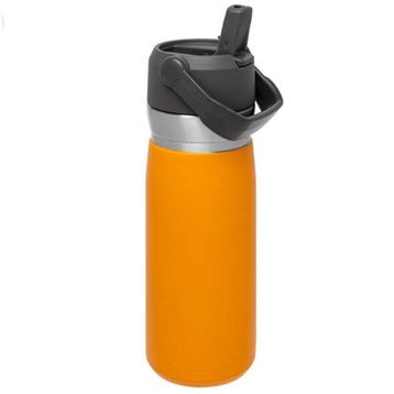 Stanley 650 ml Turuncu Go Iceflow Flip Straw Su Termosu