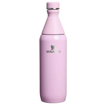 Stanley The All Day Slim Pembe 0.60 lt Soğuk Su Termos