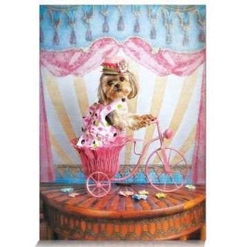 Star 500 Parça Hayalperest Gezgin Puzzle