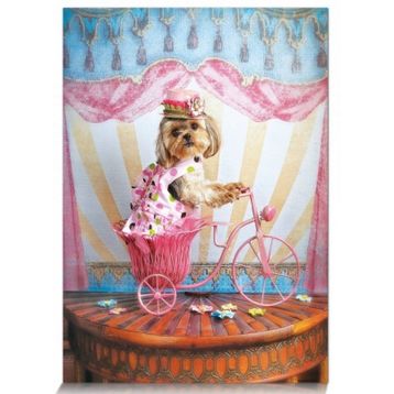 Star 500 Parça Hayalperest Gezgin Puzzle