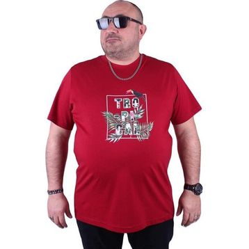 Starbattal 23114 Bordo Büyük Beden Erkek T-shirt