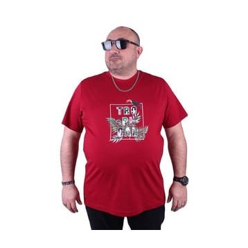 Starbattal 23114 Bordo Büyük Beden Erkek T-shirt