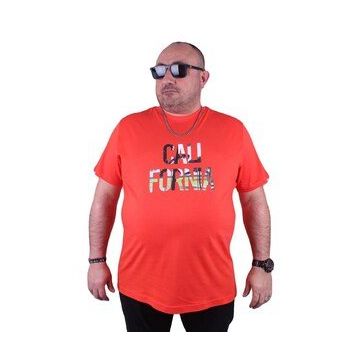 Starbattal 23120 Nar Çiçeği Büyük Beden Erkek T-shirt