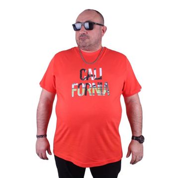 Starbattal 23120 Nar Çiçeği Büyük Beden Erkek T-shirt