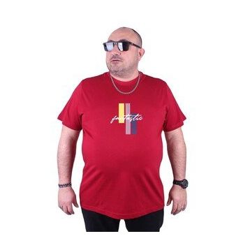 Starbattal 23121 Bordo Büyük Beden Erkek T-shirt