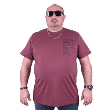 Starbattal 23128 Eflatun Büyük Beden Erkek T-shirt