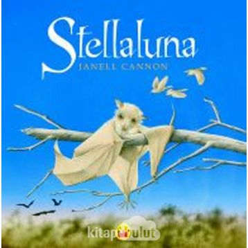 Stellaluna - Janell Cannon