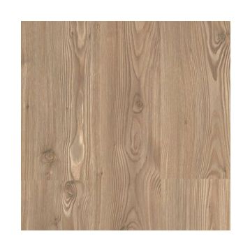 Stepclick Gold Çam Laminant Parke