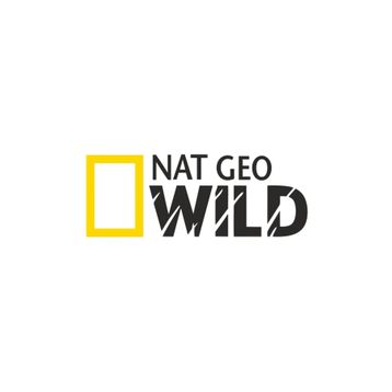 Sticker Fabrikası Nat Geo Wıld Netgeowild National Geographic 30x11 cm Duvar Stickerı