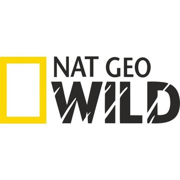 Sticker Fabrikası Nat Geo Wıld Netgeowild National Geographic 30x11 cm Duvar Stickerı