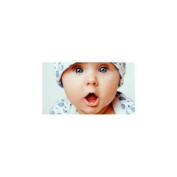 Sticker Masters Bebek Resmi Sticker