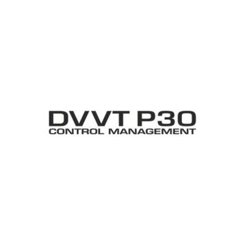 Sticker Masters Daihatsu Dvvt P30 Sticker