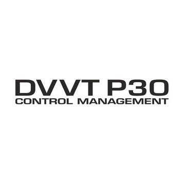 Sticker Masters Daihatsu Dvvt P30 Sticker