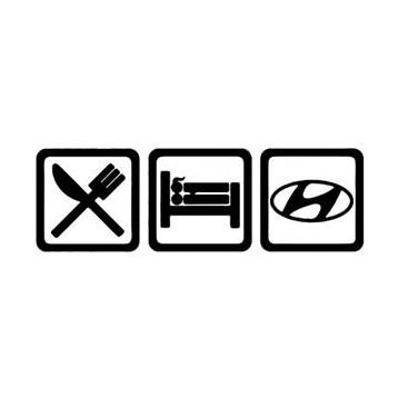 Sticker Masters Hyundai Jdm Sticker