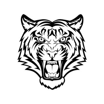 Sticker Masters Kaplan Araba Oto Sticker