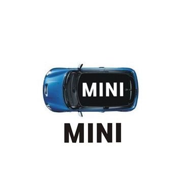 Sticker Masters Mini Cooper Tavan Sticker