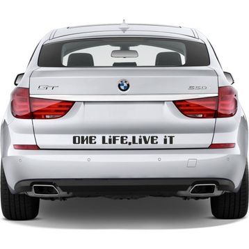 Sticker Masters One Life Live it Sticker