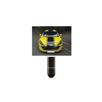 Sticker Masters Peugeot 307 Sticker Set