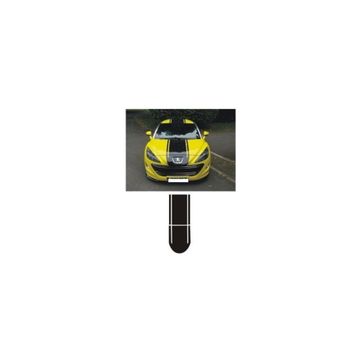 Sticker Masters Peugeot 307 Sticker Set