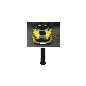 Sticker Masters Peugeot 307 Sticker Set
