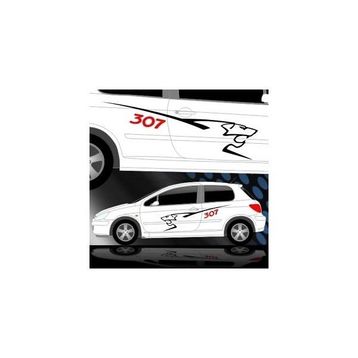 Sticker Masters Peugeot 307 Sticker Set