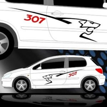 Sticker Masters Peugeot 307 Sticker Set
