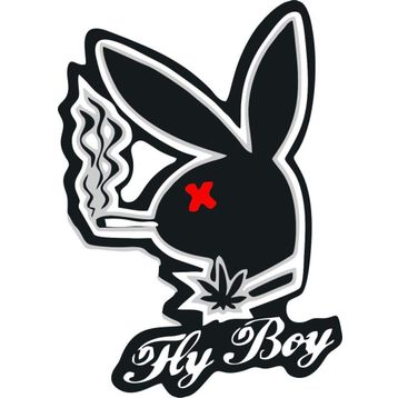Sticker Masters Playboy Sticker