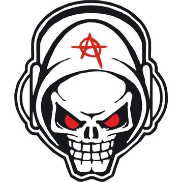 Sticker Masters Skull Anarchy Sticker