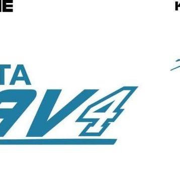 Sticker Masters Toyota Rav 4 Sticker Set