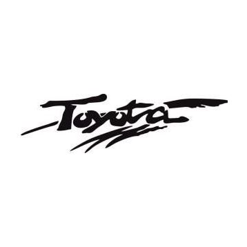 Sticker Masters Toyota Stepne Sticker
