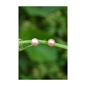 Stoneage Pembe İnci Doğal Taş Bayan Küpe