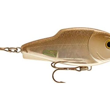 Storm 580 Thunderslide Shad 12 cm Sahte Balık