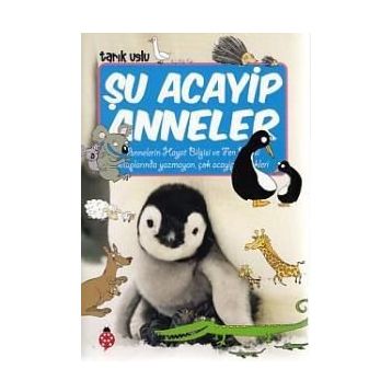 Şu Acayip Anneler - Tarık Uslu