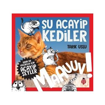 Şu Acayip Kediler-Tarık Uslu