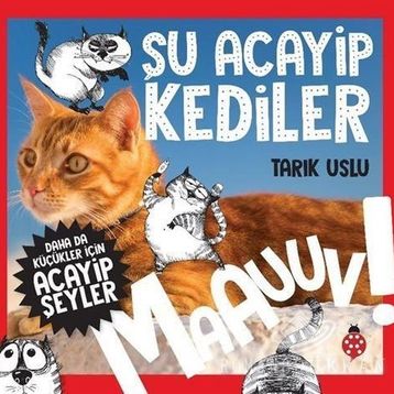 Şu Acayip Kediler-Tarık Uslu