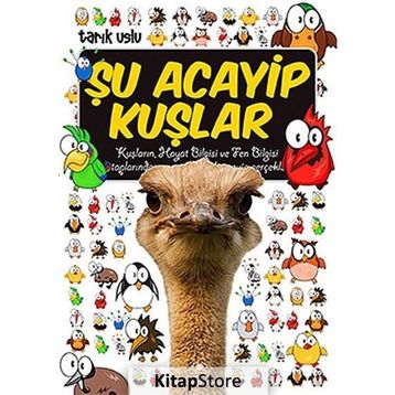 ŞU ACAYIP KUŞLAR - TARIK USLU